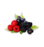 Fresh Berries