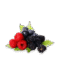 Fresh Berries