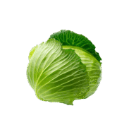 Green Cabbage
