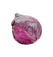 Red Cabbage