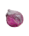 Red Cabbage