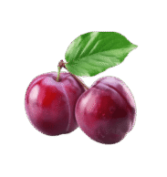 Red Plum
