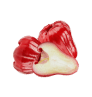 Rose Apples Fresh