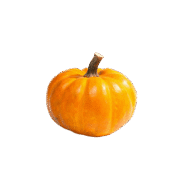 Yellow Pumpkin